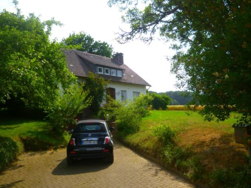 ICH WILL´S NOCH MAL WISSEN – – VERKAUFT !!